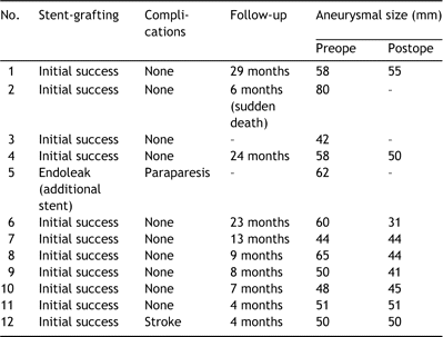 Results of the new method using Matsui-Kitamura stent-graft