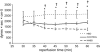 Pulmonary vascular resistance in HBD, CONTROL and NHBD from 30 until 60 min of isolated reperfusion (*p ≪ 0.05 in HBD compared with CONTROL; †p ≪ 0.05 in HBD compared with NHBD). There were no significant differences between NHBD and CONTROL.