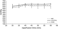 PO2/FiO2 in HBD, CONTROL and NHBD from 30 until 60 min of isolated reperfusion. No significant differences were observed.