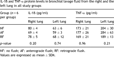 IL-1ß and TNF-α protein levels in bronchial lavage fluid from the right and the left lung in all study groups