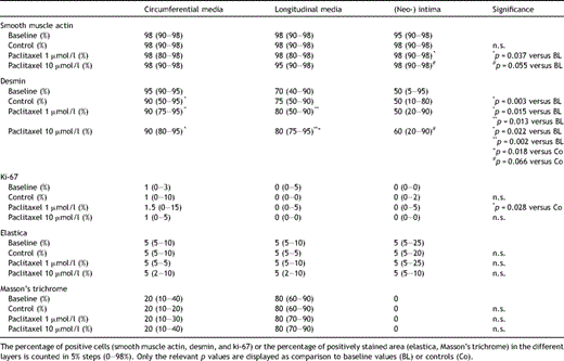 Different amounts of smooth muscle actin (SMA), desmin, and the proliferation marker ki-67 in the different layers of cultured human saphenous veins