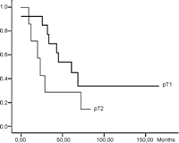 Overall survival in the pT4sc group considering the size of the biggest synchronous tumour.