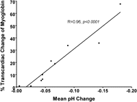 Correlation between regional acidosis and myoglobin release. Tissue pH was monitored during the distal anastomoses performed during OPCAB. We noted varying degrees of intramyocardial acidosis despite coronary occlusion times that were nearly identical between anastomoses and always <15 min. Myoglobin release was measured at the completion of OPCAB, 30 min after protamine administration. A transcardiac gradient was calculated by analyzing myoglobin levels from blood samples obtained simultaneously from the aorta and coronary sinus. A strong linear correlation between the mean regional pH change intraoperatively and transcardiac myoglobin release postoperatively.