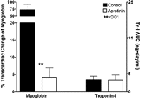 Myocardial injury after OPCAB in the aprotinin vs control groups. Myocardial injury was measured by analyzing the transcardiac gradient of myoglobin at 30 min following the completion of OPCAB and by comparing the area under the concentration–-time curve of cardiac troponin I (cTn-I) levels measured at 6, 24 and 72 h. While transcardiac myoglobin release was significantly reduced in the aprotinin vs control group, cTn-I was not significantly different.