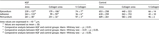 Morphometric evaluation of the adhesion fragmenta.