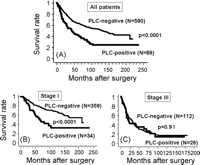 Overall survival curves according to intraoperative PLC status: stage-based analysis. (A) All tested patients, (B) patients with stage I (IA + IB) disease, (C) patients with stage III (IIIA + IIIB) disease. The overall survival curves of all tested patients and those with stage I disease are shown in parts A and B. PLC-positive patients showed significantly poorer prognosis than those with PLC-negative findings (all patients: p ≪ 0.0001, those with stage I disease: p ≪ 0.0001); however, such prognostic significance disappeared in patients with stage III disease (C).