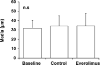 Media thickness (μm) in baseline and cultured vein grafts showed no difference in all three groups.