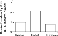 Western blots were scored for relative densitometry, indicating blockage of mTOR pathway through downregulation of the downstream protein phospho-S6 ribosomal protein.