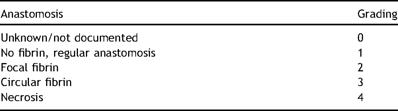 Classification of the anastomosis.