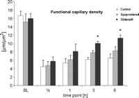 Functional capillary density (FCD) given in μm/μm2, n = 7. All values are mean ± SEM, * significant versus control, p < 0.01.