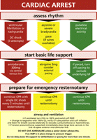EACTS guideline for resuscitation of a patient who arrests after cardiac surgery.