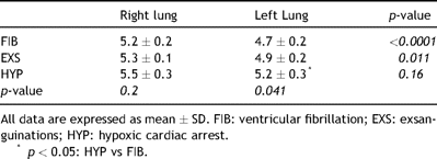 W/D ratio in the right (non-perfused) and left (perfused) lung in all study groups.