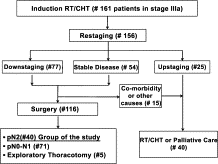 Consort type diagram of the population in cStage IIIa undergone multimodality approach.