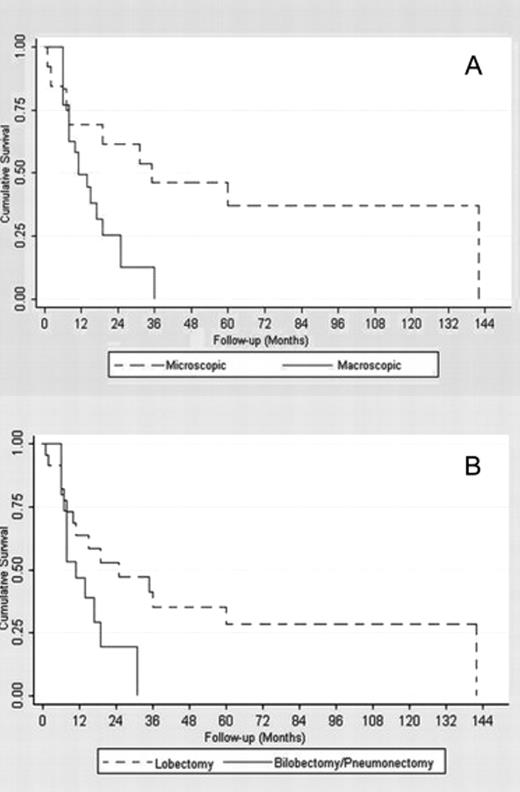 (A) Microscopic and macroscopic lymph node involvement survival functions. (B) Lobectomy and bilobectomy–pneumonectomy survival functions.