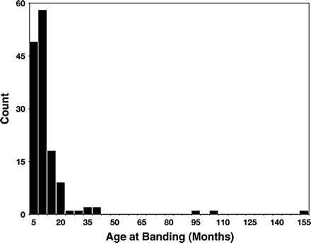 This figure shows the age distribution at the time of pulmonary artery banding, with the mean age at the time of banding around 10 months. Patients thought on clinical examination to be at higher risk were investigated further by cardiac catheterisation.