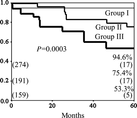 The cumulative graft patency rates according to the three groups. The cumulative patency rates at 5 years were 94.6% in the group I, 75.4% in the group II and 53.3% in the group III (P = 0.0003; group I versus group III, P = 0.005; group II versus group III, P = 0.40; group I versus group II).