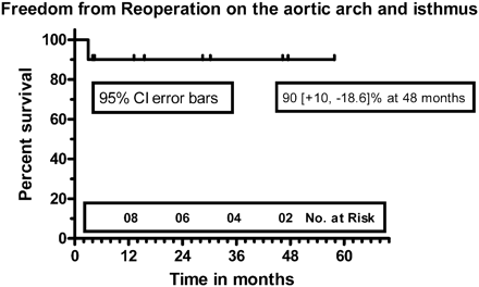 Kaplan–Meier freedom from reoperation on the aortic arch and/or the aortic isthmus.
