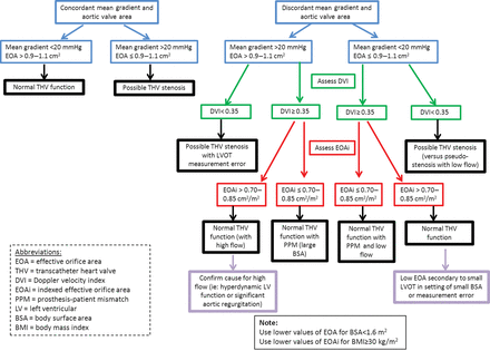 Transcatheter heart valve haemodynamic evaluation algorithm.