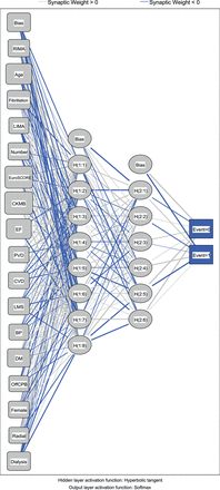 Neural network topography. RIMA: use of right internal mammary artery; Fibrillation: Pre operative atrial fibrillation; LIMA: use of left internal mammary artery; Number: Number of bypass grafts; EuroSCORE: logistic EuroSCORE; CKMB: postoperative CK-MB; EF: Ejection fraction; PVD: peripheral vascular disease; CVD: cerbrovascular vascular disease; LMS: left main stem stenosis; BP: hypertension; DM: diabetes; OffCPB: off pump; Radial: use of radial artery; Dialysis: pre operative dialysis.