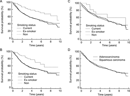 Smoking status and long-term survival. (A) Study group, current smokers n = 828, ex-smokers n = 1525, non-smokers n = 157. (B) Adenocarcinoma, current smokers n = 383, ex-smokers n = 714, non-smokers n = 75. (C) Squamous carcinoma, current smokers n = 358, ex-smokers n = 643, non-smokers n = 25. (D) Adenocarcinoma (n = 1216) vs squamous carcinoma (n = 1065), P = 0.87.