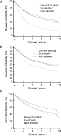 Cox risk adjusted survival of smoking status and long-term survival, plotted at the mean of the covariates. (A) Study group; (B) adenocarcinoma; (C) squamous carcinoma.
