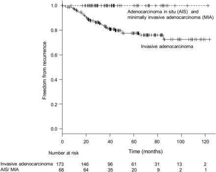 Recurrence-free survival curves according to histology. No recurrences were observed in cases of AIS and MIA.