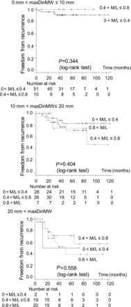 The sub-classified recurrence-free survival curves of patients with different M/L (tumour area size in the mediastinal window/tumour area size in the lung window) ratios. The tumours with similar solid component sizes and different M/L ratios showed almost identical recurrence-free survival rates.