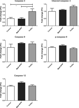 SDS-soluble fraction of the AAR. Caspase protein expression in the insoluble myocardial lysate fraction between the control group and animals supplemented with either red wine or vodka. Results are expressed as FC in expression when compared with controls. Bonferroni post-test P-values depicted as: *P < 0.05. See Results for the report of one-way ANOVA P-values.