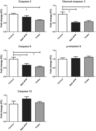 RIPA-soluble fraction of the AAR. Caspase protein expression in the RIPA-soluble myocardial lysate fraction between the control group and animals supplemented with either red wine or vodka. Results are expressed as FC in expression when compared with controls. Bonferroni post-test P-values depicted as: *P < 0.05 and †P < 0.01. See Results for the report of one-way ANOVA P-values.