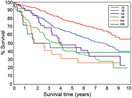 Survival time by stage (sixth edition).