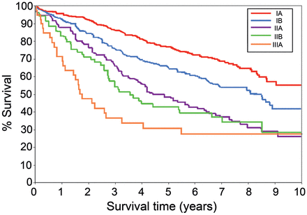 Survival time by stage (seventh edition).