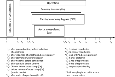 Outline of operation time course and sampling.