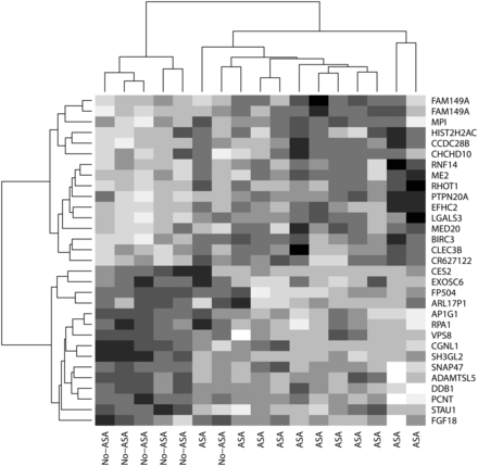 Heat map of the top 31 differentially expressed genes between the ASA and No-ASA group. The heat map is a two-dimensional presentation of the gene expression data (normalized data on log2 scale) where the rows and columns are ordered using hierarchical clustering. Each row shows one gene transcript and each column shows one patient. Values are presented on a scale from white to black: white is for high expression and black for low expression values.