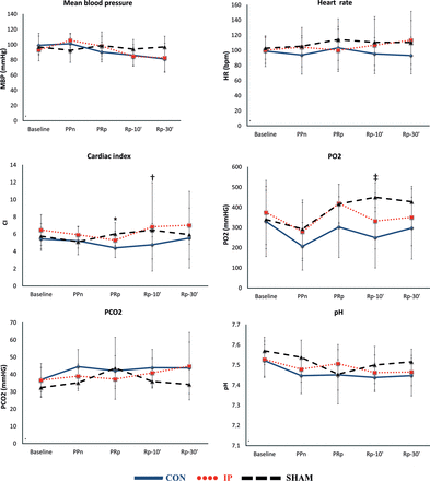 Haemodynamic and gasometric data. The lines show haemodynamic and gasometric values (mean ± SD) throughout the experiment in each group. MBP: mean blood pressure; HR: heart rate; CI: cardiac index; PO2: systemic partial pressure of oxygen; PCO2: systemic partial pressure of carbon dioxide; CON: control group; IP: ischaemic preconditioning group; SHAM: sham group; B: basal; PPn: prepneumonectomy; PRp: prereperfusion; Rp-10′: 10-min postreperfusion; Rp-30′: 30-min postreperfusion. *P = 0.042, CON vs SHAM group; †P = 0.049, CON vs SHAM group; ‡P = 0.019, CON vs SHAM group.