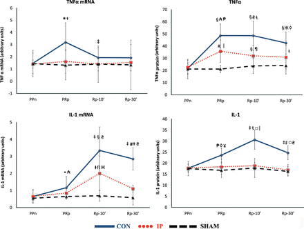 (A) The lines show the expression of TNF-α mRNA and TNF-α in liver tissue throughout the experiment in the experimental groups. CON: control group; IP: ischaemic preconditioning group; SHAM: sham group; PPn: prepneumonectomy; PRp: prereperfusion; Rp-10′: 10-min postreperfusion; Rp-30′: 30-min postreperfusion. Intragroup analysis: *P = 0.0093 vs PPn; ‡P = 0.049 vs PRp; §P = 0.0051 vs PPn; #P = 0.0069 vs PPn; ⱡP = 0.037 vs PPn. Intergroup analysis:†P = 0.047, CON vs IP group; ₳P = 0.0029, CON vs IP group; ₴P = 0.0015, CON vs IP group; ЖP = 0.0011, CON vs IP group; ₱P = 0.00066, CON vs SHAM group; □ⱢP = 0.0013, CON vs SHAM group; ◊P = 0.0027, CON vs SHAM group; |P = 0.0047, IP vs SHAM group; ¶P = 0.04, IP vs SHAM group. (B) The lines show the expression of IL-1 mRNA and IL-1 in liver tissue throughout the experiment in the experimental groups. Intragroup analysis: *P = 0.049 vs PPn; ‡P = 0.0051 vs PPn; §P = 0.0069 vs PRp; #P = 0.013 vs PRp; ⱡP = 0.028 vs PPn; flP = 0.046 vs PRp; ₱P = 0.0069 vs PPn; ⱢP = 0.0051 vs PRp; ₣P = 0.0051 vs Rp-10′. Intergroup analysis:†P = 0.00025, CON vs IP group; ₳P = 0.028, CON vs SHAM group; ₴P = 0.00066, CON vs SHAM group. ЖP = 0.0303, IP vs SHAM group; ◊P = 0.0039, CON vs IP group; □P = 0.0001, CON vs IP group; ¥P = 0.0047, CON vs SHAM group; |P = 0.0013, CON vs SHAM group.