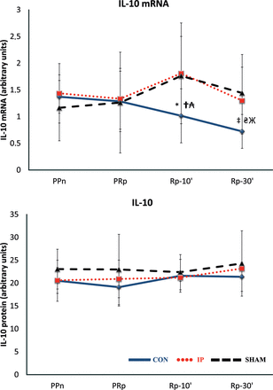 The lines show the expression of IL-10 mRNA and IL-10 in liver tissue throughout the experiment in the experimental groups. CON: control group; IP: ischaemic preconditioning group; SHAM: sham group; PPn: prepneumonectomy; PRp: prereperfusion; Rp-10′: 10-min postreperfusion; Rp-30′: 30-min postreperfusion. Intragroup analysis: *P = 0.047 vs PPn; ‡P = 0.0051 vs PPn. Intergroup analysis: †P = 0.023, CON vs IP group; ₳P = 0.028, CON vs SHAM group; ₴P = 0.016, CON vs IP group; ЖP = 0.04, CON vs SHAM group.
