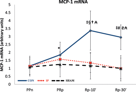 The lines show the expression of the chemokine MCP-1 mRNA in liver tissue throughout the experiment in the experimental groups. MCP-1: monocyte chemoattractant protein-1; CON: control group; IP: ischaemic preconditioning group; SHAM: sham group; PPn: prepneumonectomy; PRp: prereperfusion; Rp-10′: 10-min postreperfusion; Rp-30′: 30-min postreperfusion. Intragroup analysis: *P = 0.037 vs PPn; ‡P = 0.0051 vs PPn; §P = 0.028 vs PRp; #P = 0.021 vs PRp. Intergroup analysis:†P = 0.00013, CON vs IP group; ₳P = 0.0027, CON vs SHAM group; ₴P = 0.00008, CON vs IP group.