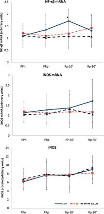 The lines show the expression of the transcription factor NF-κB, iNOS and iNOS mRNA in liver tissue throughout the experiment in the experimental groups. iNOS: inducible nitric oxide synthase; CON: control group; IP: ischaemic preconditioning group; SHAM: sham group; PPn: prepneumonectomy; PRp: prereperfusion; Rp-10′: 10-min postreperfusion; Rp-30′: 30-min postreperfusion. *P = 0.0069 vs PPn.