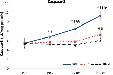 The lines show the expression of the caspase-3 concentration in liver tissue throughout the experiment in the experimental groups. CON: control group; IP: ischaemic preconditioning group; SHAM: sham group; PPn: prepneumonectomy; PRp: prereperfusion; Rp-10′: 10-min postreperfusion; Rp-30′: 30-min postreperfusion. Intragroup analysis: *P = 0.043 vs PPn; ‡P = 0.043 vs PRp; §P = 0.043 vs Rp-10′. Intergroup analysis: †P = 0.009, CON vs IP group; ₳P = 0.0079, CON vs SHAM group; ₴P = 0.016, IP vs SHAM group.