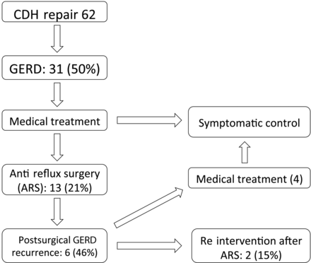Scheme of GERD treatment.