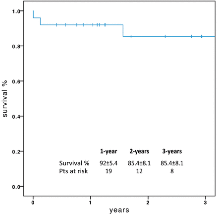 Kaplan-Meier estimate of survival (truncated at 3 years).