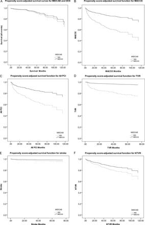 Propensity score-adjusted survival curves output by Cox regression. (A) Survival, (B) freedom from MACCE, (C) freedom from all PCI, (D) freedom from target vessels revascularization, (E) freedom from stroke, (F) freedom from none target vessels revascularization.