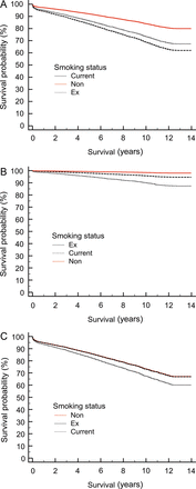 The effect of smoking status on long-term survival plotted at the mean of the covariates. (A) Whole study cohort, (B) patients <65 years old and (C) patients over 65 years old.