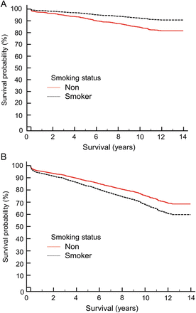 The effect of smoking status post-propensity matching on long-term survival plotted at the mean of the covariates. (A) Patients <65 years old and (B) patients >65 years old.