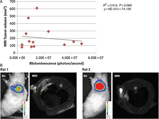 (A) Scatter plot between tumour volume quantified from MR images and Bli signal showing no correlation (n = 13). (B) Images showing typical discrepancies between tumour volume visualized by MR and Bli signal. Rat 2 shows strong Bli signal (red); however, the tumour size visible by MRI is smaller than that of Rat 1, which exhibited lower Bli intensity.