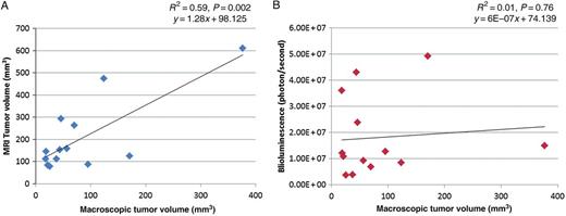 Correlation between macroscopic tumour volume versus MRI and Bli: (A) Positive correlation between tumour volume quantified from MR images (mm3) (average of two observers) and macroscopic tumour volume. (B) Bli signal (photon/second) does not correlate with macroscopic tumour volume.