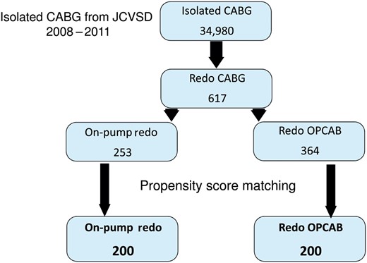 Patient selection. JCVSD: Japan Cardiovascular Surgery Database.