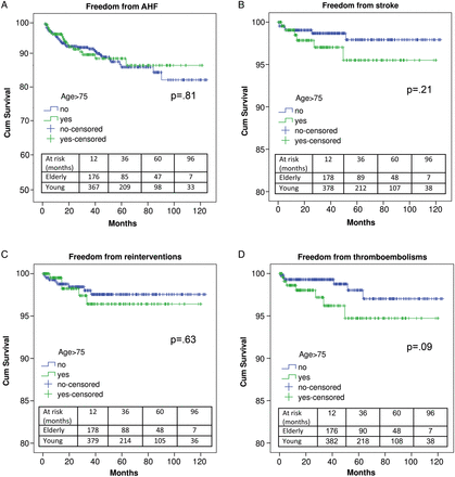 Freedom from acute heart failure (A), stroke (B), reinterventions (C) and thrombo-embolisms (D) in elderly >75 years of age and younger patients. AHF: acute heart failure.
