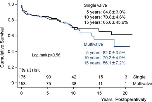 Kaplan–Meier curve showing survival between single- and multivalve redo surgery. Pts: patients.