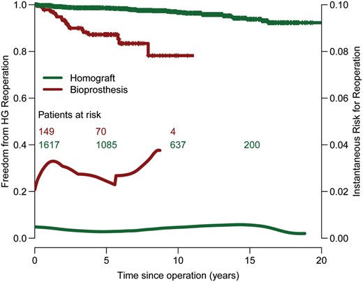 Freedom from homograft reoperation stratified by type of prosthesis.